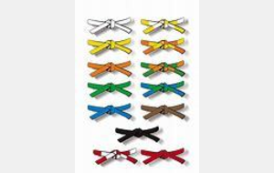 Cérémonie des grades 6ans et +