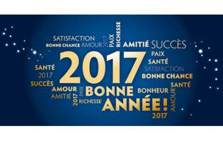 Meilleurs Voeux 2017 !
