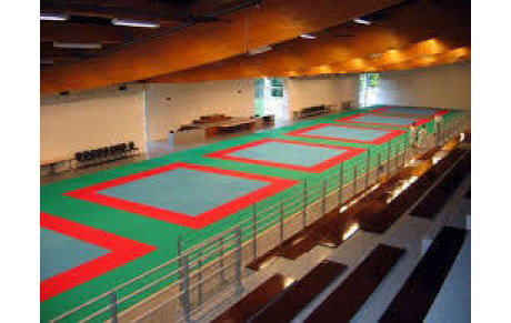 Résultat Championnat Régional du 8 Janvier à Forges Les Eaux